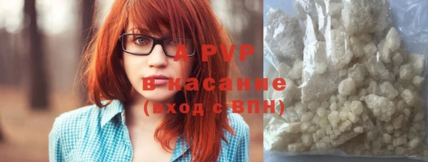 шишки Арсеньев