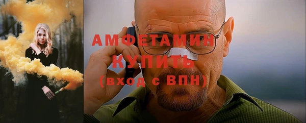 шишки Арсеньев