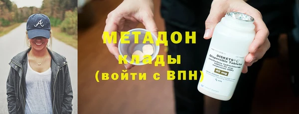 шишки Арсеньев