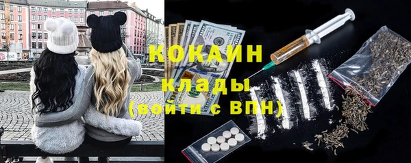 шишки Арсеньев