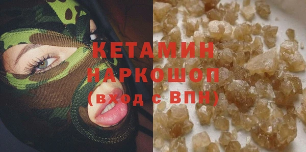 шишки Арсеньев