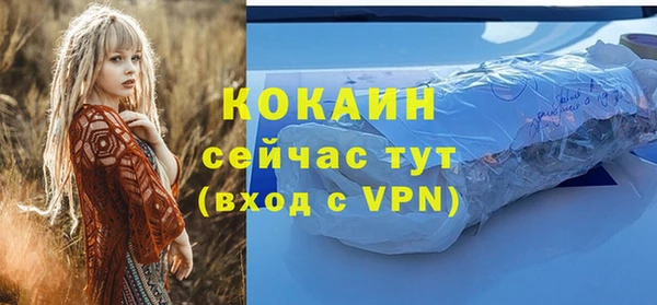 шишки Арсеньев
