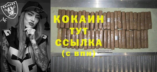 шишки Арсеньев