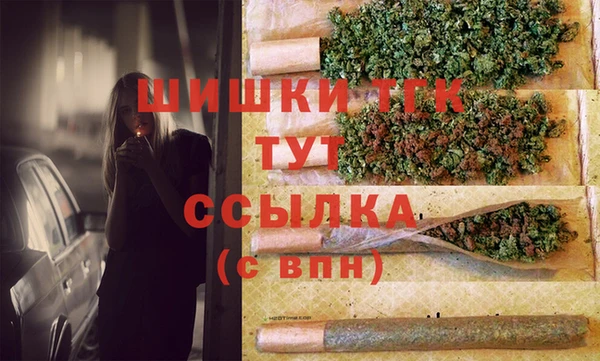 шишки Арсеньев