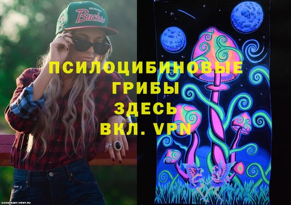 шишки Арсеньев