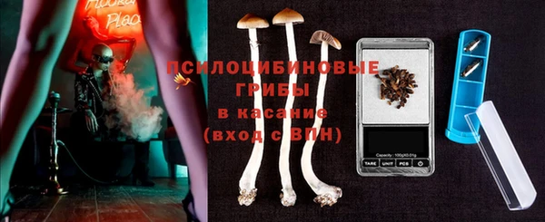 шишки Арсеньев