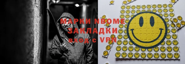 шишки Арсеньев