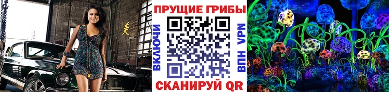 Псилоцибиновые грибы Psilocybe закладка ссылка на мегу рабочий сайт Георгиевск